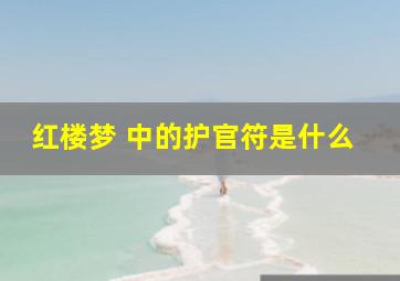 红楼梦 中的护官符是什么